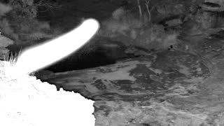 Still 1 from this detection