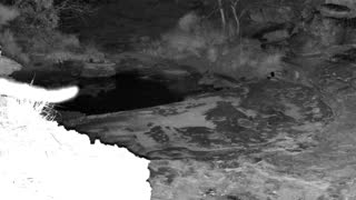 Still 2 from this detection