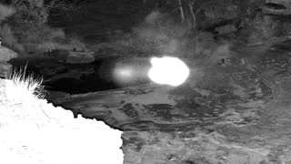 Still 1 from this detection