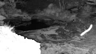 Still 3 from this detection