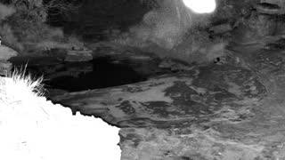 Still 1 from this detection