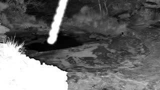 Still 1 from this detection