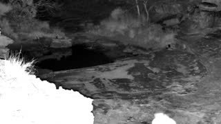 Still 1 from this detection