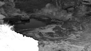 Still 3 from this detection