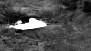 Still 1 from this detection