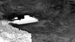 Still 3 from this detection