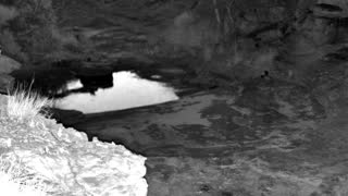 Still 1 from this detection