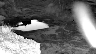 Still 3 from this detection