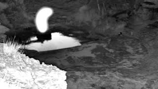 Still 2 from this detection