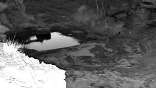 Still 1 from this detection