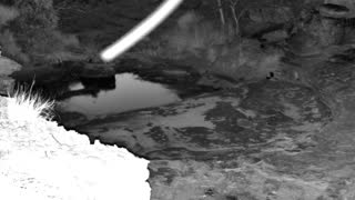 Still 1 from this detection