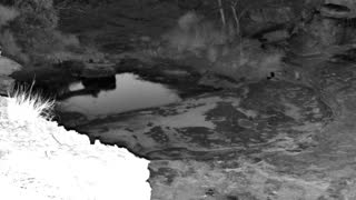 Still 2 from this detection