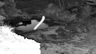 Still 3 from this detection