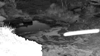 Still 1 from this detection