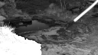 Still 2 from this detection