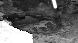 Still 2 from this detection