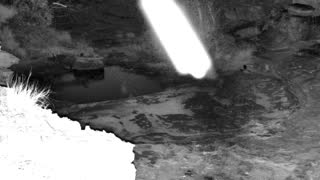 Still 1 from this detection