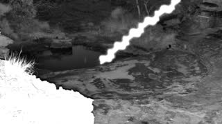 Still 1 from this detection