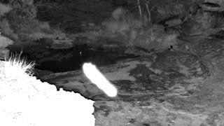 Still 1 from this detection