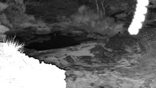 Still 2 from this detection