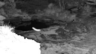 Still 1 from this detection