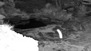 Still 2 from this detection