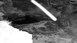 Still 2 from this detection