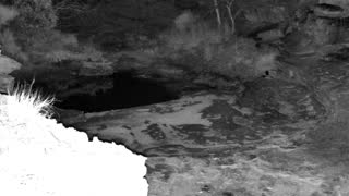 Still 2 from this detection