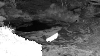 Still 2 from this detection