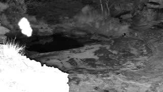 Still 3 from this detection