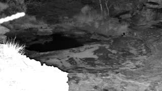 Still 2 from this detection
