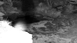Still 2 from this detection