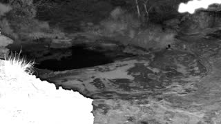 Still 2 from this detection