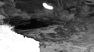 Still 1 from this detection