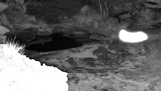 Still 3 from this detection