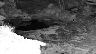 Still 2 from this detection