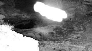 Still 1 from this detection