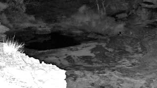 Still 2 from this detection