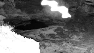 Still 2 from this detection