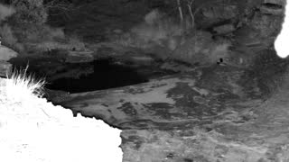 Still 2 from this detection