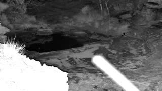 Still 1 from this detection