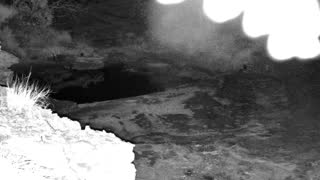 Still 2 from this detection