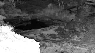 Still 2 from this detection