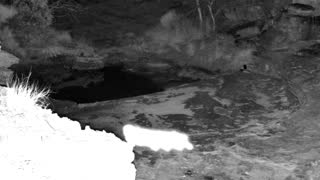 Still 1 from this detection
