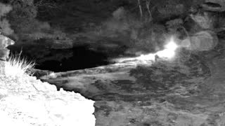 Still 1 from this detection