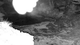 Still 1 from this detection