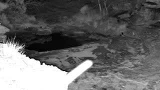 Still 1 from this detection