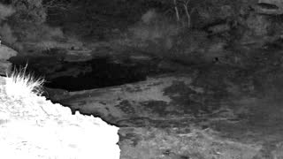 Still 3 from this detection