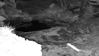 Still 2 from this detection