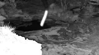 Still 1 from this detection